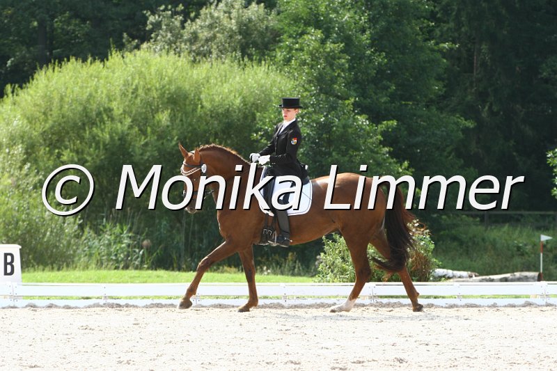 109M9801_Cappuccino_Dressur L_Finale Franken.JPG